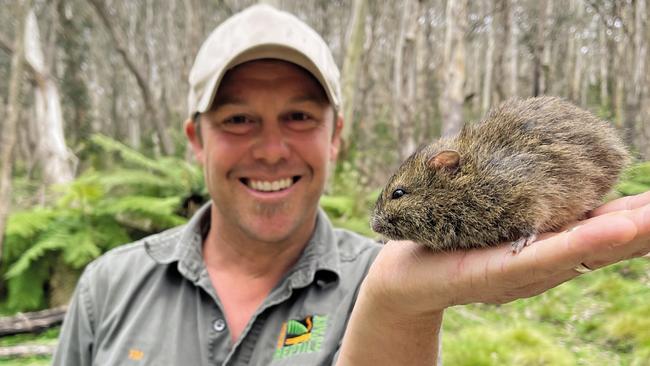 Aussie Ark president Tim Faulkner with a broad-toothed rat. Picture: supplied