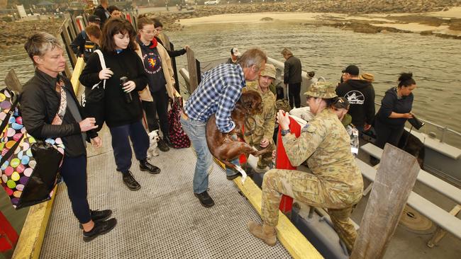 A dog is loaded onto the landing boats by ADF personal. Picture: David Caird