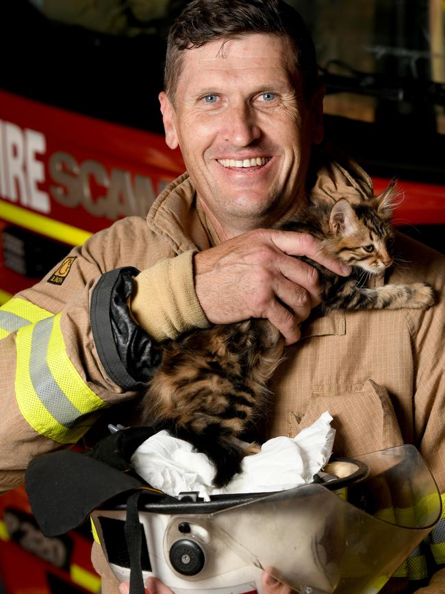 Angle Park MFS firefighter Matthew Hodder saved the day when he caught a kitten which jumped from a tree last Thursday. Picture: Naomi Jellicoe