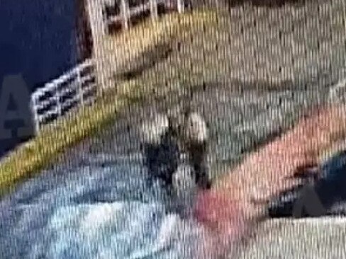 Greece ferry passenger dies after being pushed off ramp by crewman. Picture: @kakajason50/Twitter