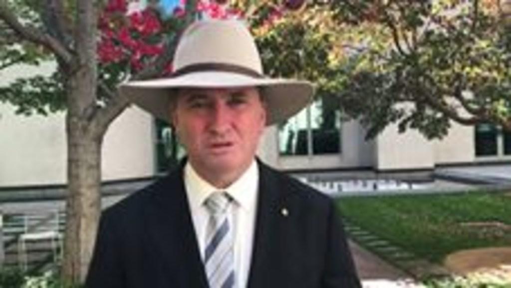 Barnaby Joyce Describes 'Australian Values' Amid Citizenship Debate