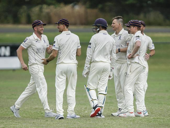 Old Peninsula players celebrating a wicket. Picture: Valeriu Campan