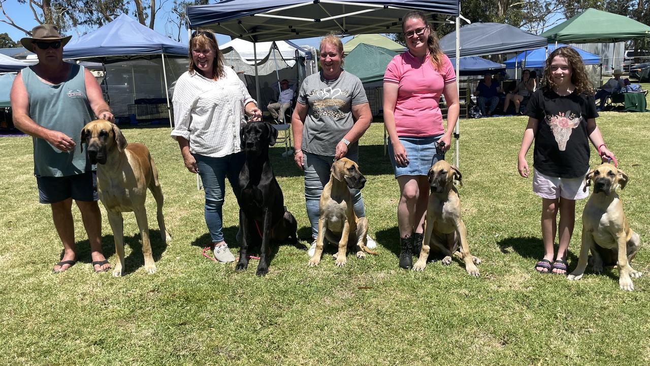 Dog lovers flock to the Lang Lang Agricultural Animal Show