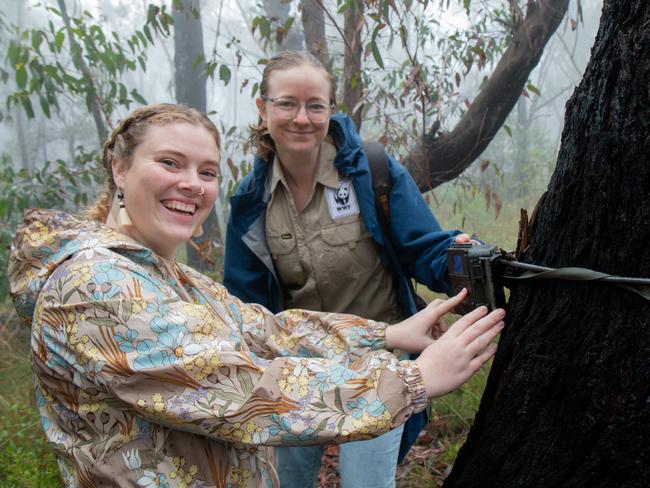 WWF research program manager Emma Spencer (right), with Melinda Kerr, a volunteer researcher from the Blue Mountains World Heritage Institute. Picture: WWF Australia