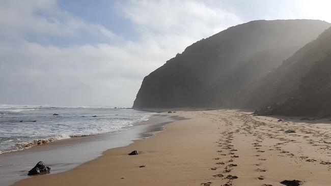 The bodies were found on a walking track near Wreck Beach in Victoria. Picture: Facebook