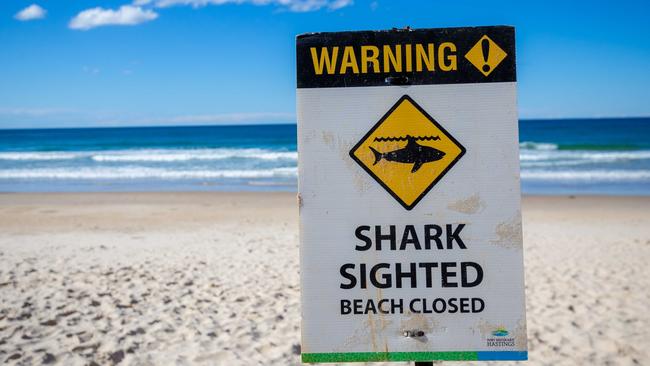 Flynns Beach, the beach next to Shelly Beach where the attack took place, was closed on Sunday. Picture: Lindsay Moller