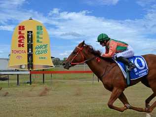 RACE DAY: Bell Races hosted their annual Race Day on Saturday and had a great turnout. Picture: Meg Gannon