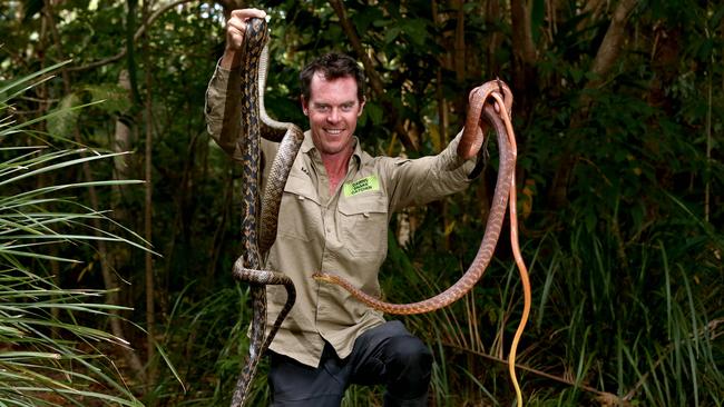 Cairns Snake Catcher Matt Hagan with a scrub python and two brown tree snakes that he was releasing PICTURE: ANNA ROGERS