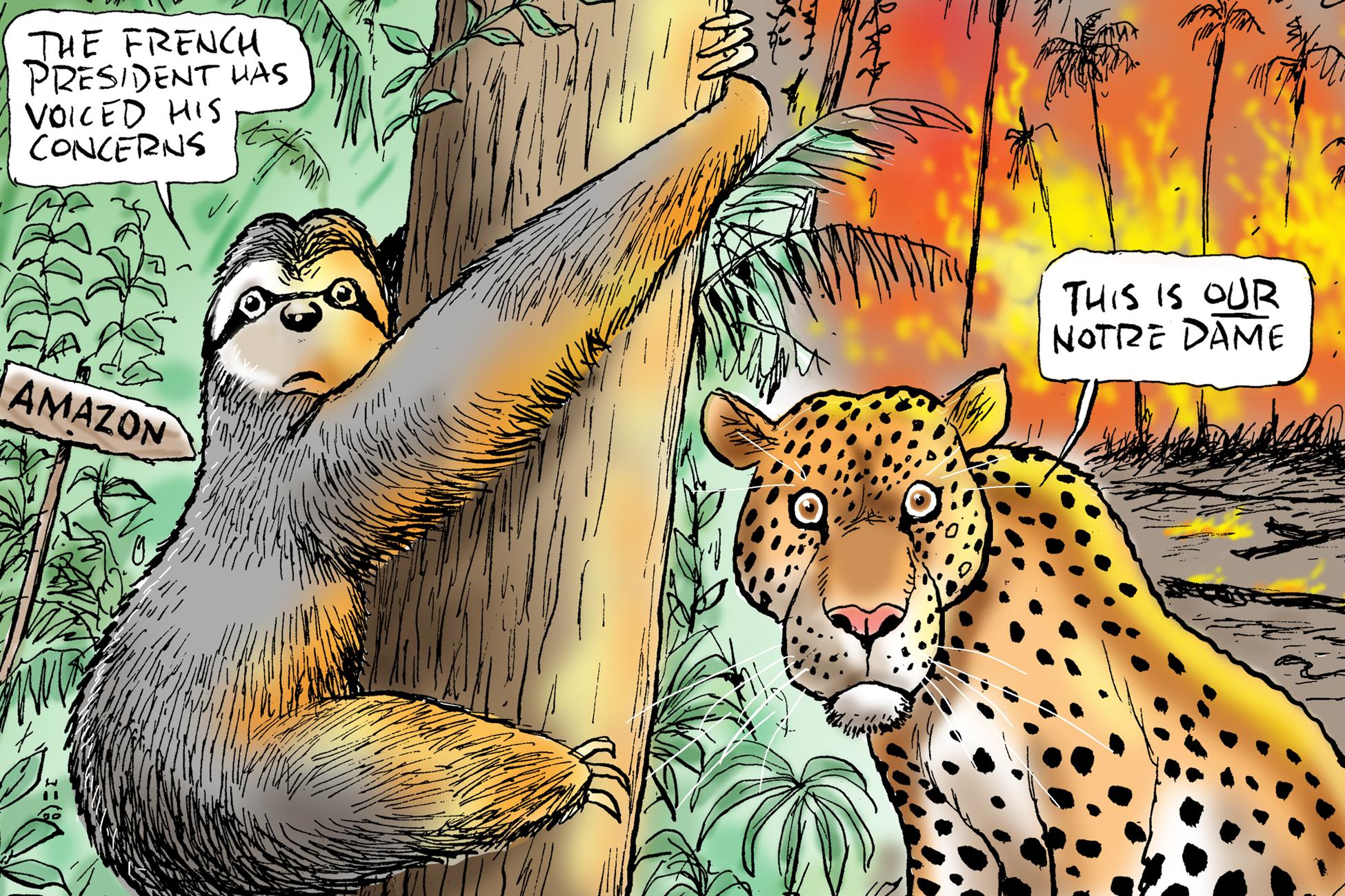 Mark Knight Innocent Victims Of The Amazon Inferno Kidsnews