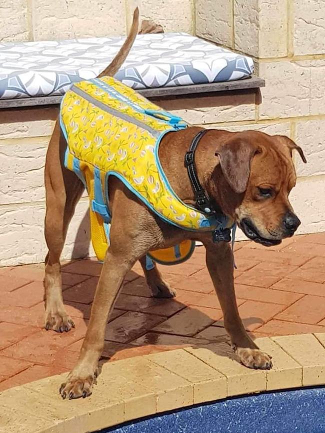 He had a special lifejacket for pool safety. Picture: Supplied