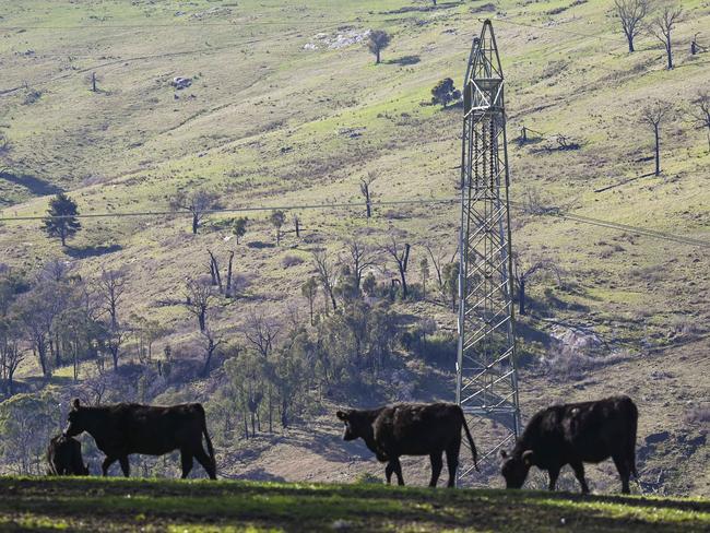 YASS, AUSTRALIA. JULY 21, 2023: Humelink Protest - Purcell property in Yass  . Picture: Martin Ollman