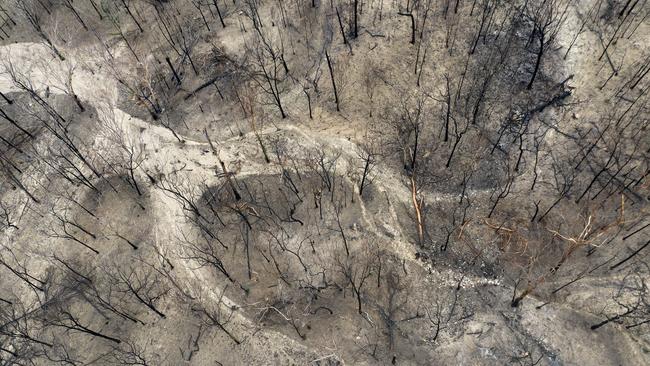 An aerial view of the bare earth and blackened bush in Wytaliba.