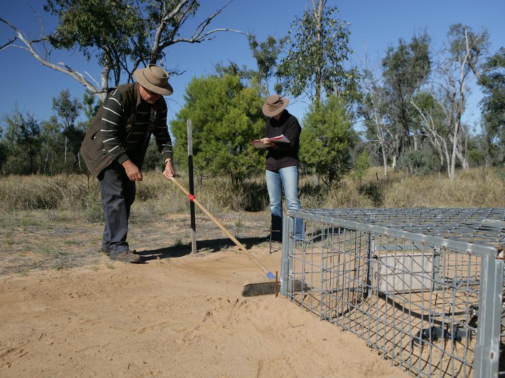 Henry and his wife Naomi (above at the wombat colony site) are council members of animal protection institute, Voiceless. Picture: David Kelly.