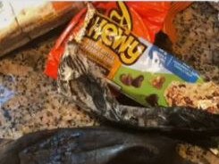 Teen’s gross 14-month-old lunch goes viral