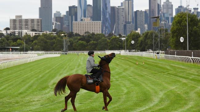 Jockey Craig Williams rides 2019 Melbourne Cup winner Vow And Declare before a trackwork session at Flemington racecourse in Melbourne.