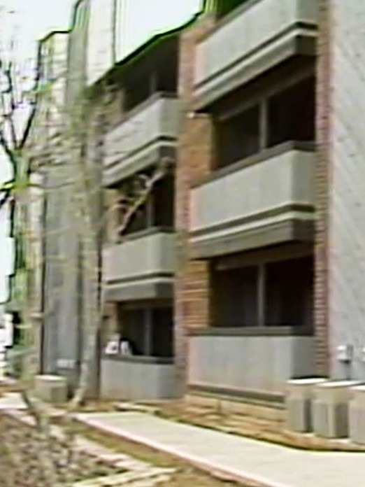 The apartment where the horror crime took place. Picture: Arlington Police