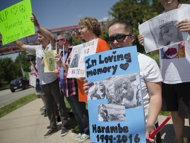 Kate Villanueva of Erlanger, Kentucky (centre right) holds a sign depicting the gorilla Harambe during a vigil outside the Cincinnati Zoo &amp; Botanical Garden. Picture: AP Photo/John Minchillo