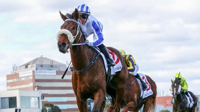 Mollynickers is a leading chance in the Group 1 Flight Stakes. Picture: George Sal/Racing Photos via Getty Images