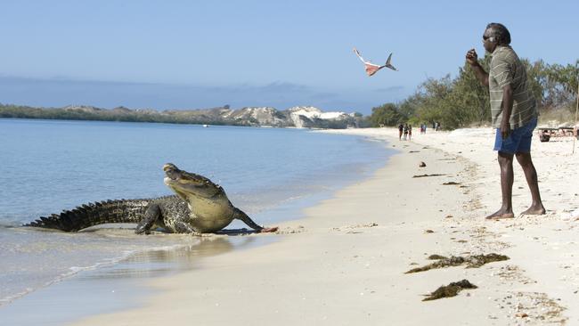 Yunupingu feeds a crocodile at Port Bradshaw in the Northern Territory.