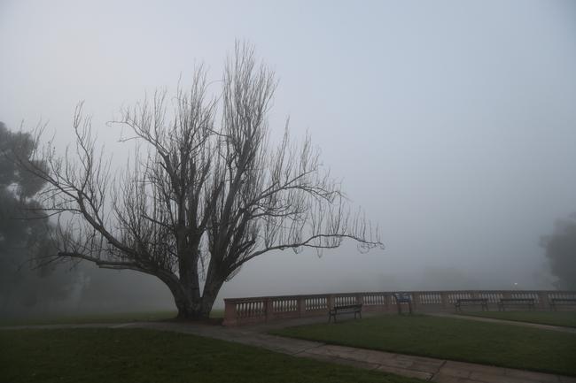 Fog around Montefiore Hill, looking at Adelaide Oval on July 14. Picture: Tait Schmaal.