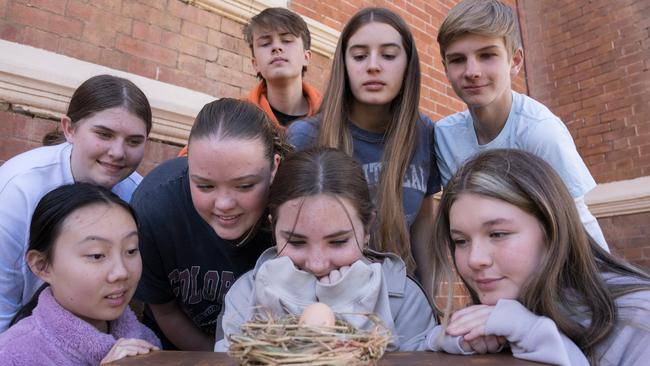 Minea Tao, Joshua Walkington, Eliza Kinniburgh, Eddie Pocknee, Chelsea Rogers, Sammy Cheetham, Majella Ford, Taya Forster, with Larry the egg as part for the upcoming 2024 IMPACT junior ensemble's production Our Egg Named Larry. Picture: Christine Schindler