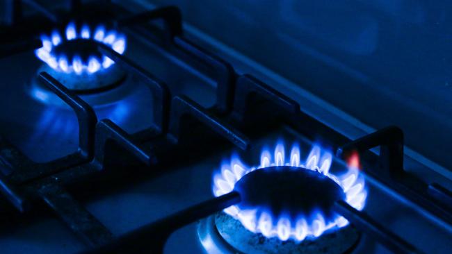 Gas companies could pay higher taxes, Mr Albanese suggested. Picture: NCA NewsWire /Gaye Gerard