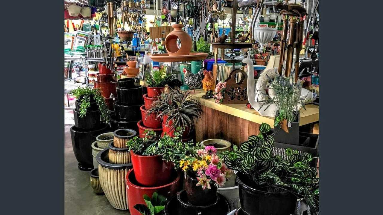 Kingaroy Garden Centre is up for sale. Picture: Contributed