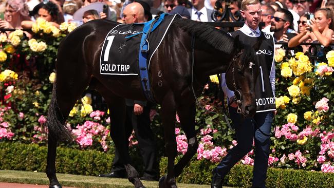 Gold Trip is seen in the mounting yard ahead of the 2023 Melbourne Cup. Picture: Kelly Defina / Getty Images