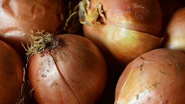 Tasmanian growers contributed most of the national growth in onion exports, increasing exports from the state by 91 per cent. Picture: Zoe Phillips