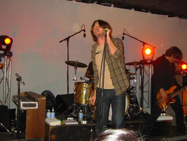 Powderfinger give a free concert to fans under the name of Denim Venim at the Zoo in 2007.