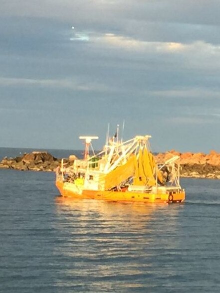 Commercial fishing boats use an effective technique that also catches endangered species Picture: Supplied