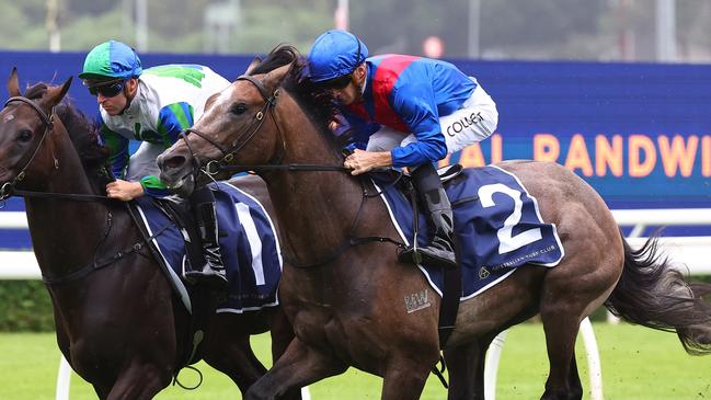 Getafix can bounce back from a disappointing first-up run at Hawkesbury. Picture: Jeremy Ng/Getty Images
