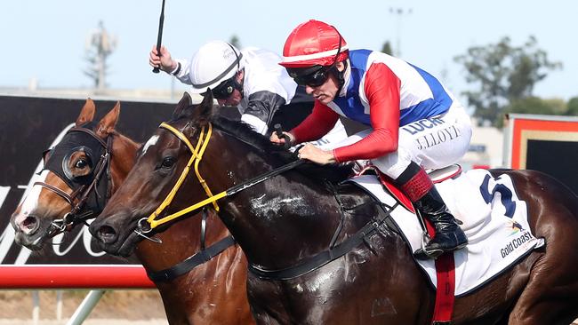 Crusher (right) on her way to winning the QTIS Two-Year-Old Handicap (900m) from Sista Act at the Gold Coast yesterday. Photo: Richard Gosling.