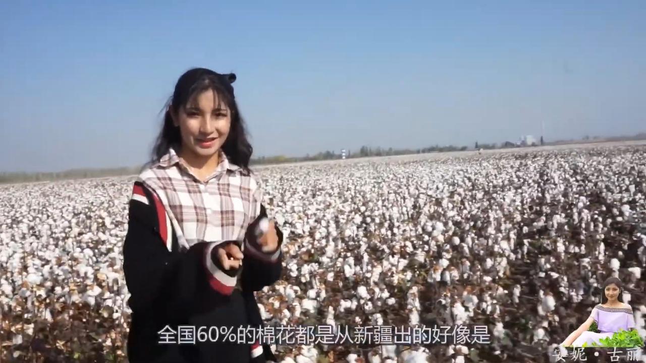 This was despite international condemnation that forced Uyghur workers are used in the harvest. Picture: YouTube