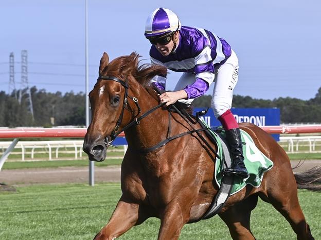 Codetta wins at Kembla Grange on November 16, 2024. Picture: Bradley Photos