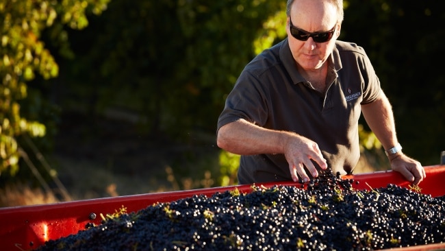 Winemaker John  Davey who made a gold-medal wine under $20. 
Shingleback vineyard in South Australia's  McLaren Vale.