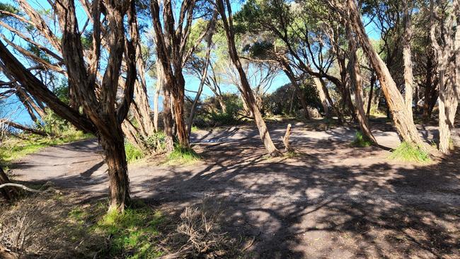 Community members are advocating for a pump track in Cape Woolamai to stop the destruction of the foreshore.