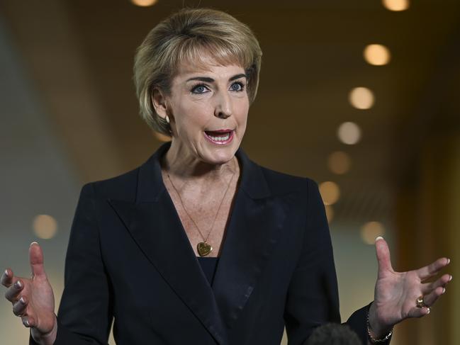CANBERRA, AUSTRALIA, NewsWire Photos. SEPTEMBER 5, 2023: Senator Michaelia Cash holds a press conference at Parliament House in Canberra. Speaking about the government's closing loopholes in industrial relations bill, which the Coalition is opposed to.Picture: NCA NewsWire / Martin Ollman