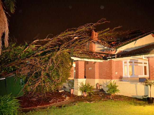 High winds brought this tree down on to the roof of a property on Flora Tce. Prospect. Picture: Bianca De Marchi