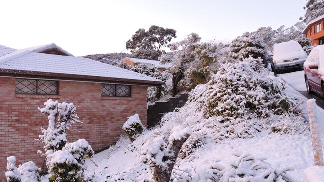 Hobart Snow. Snow covers houses in Sandy Bay. Image by - Sheryl Woulleman-King