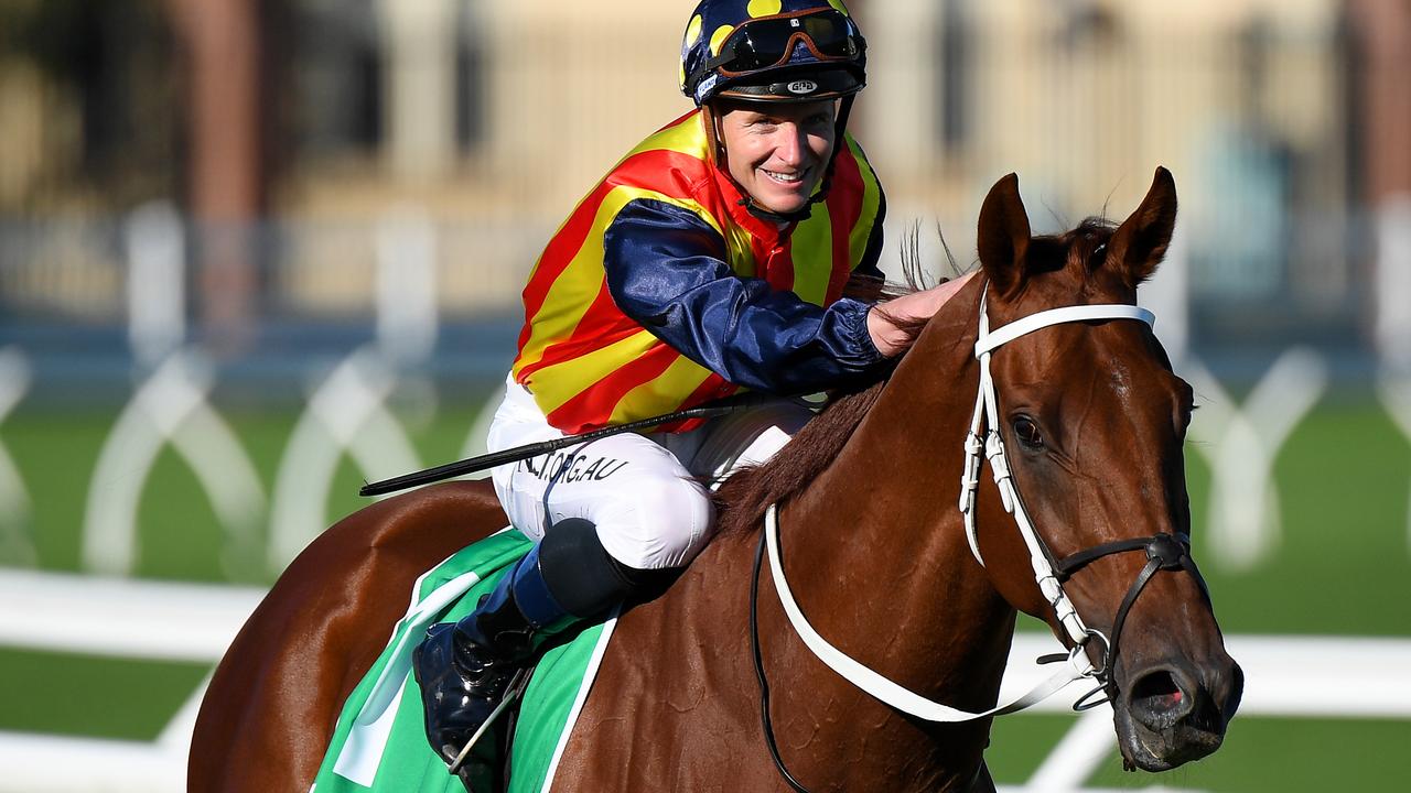 Nature Strip wins TJ Smith Stakes in a canter | Daily Telegraph