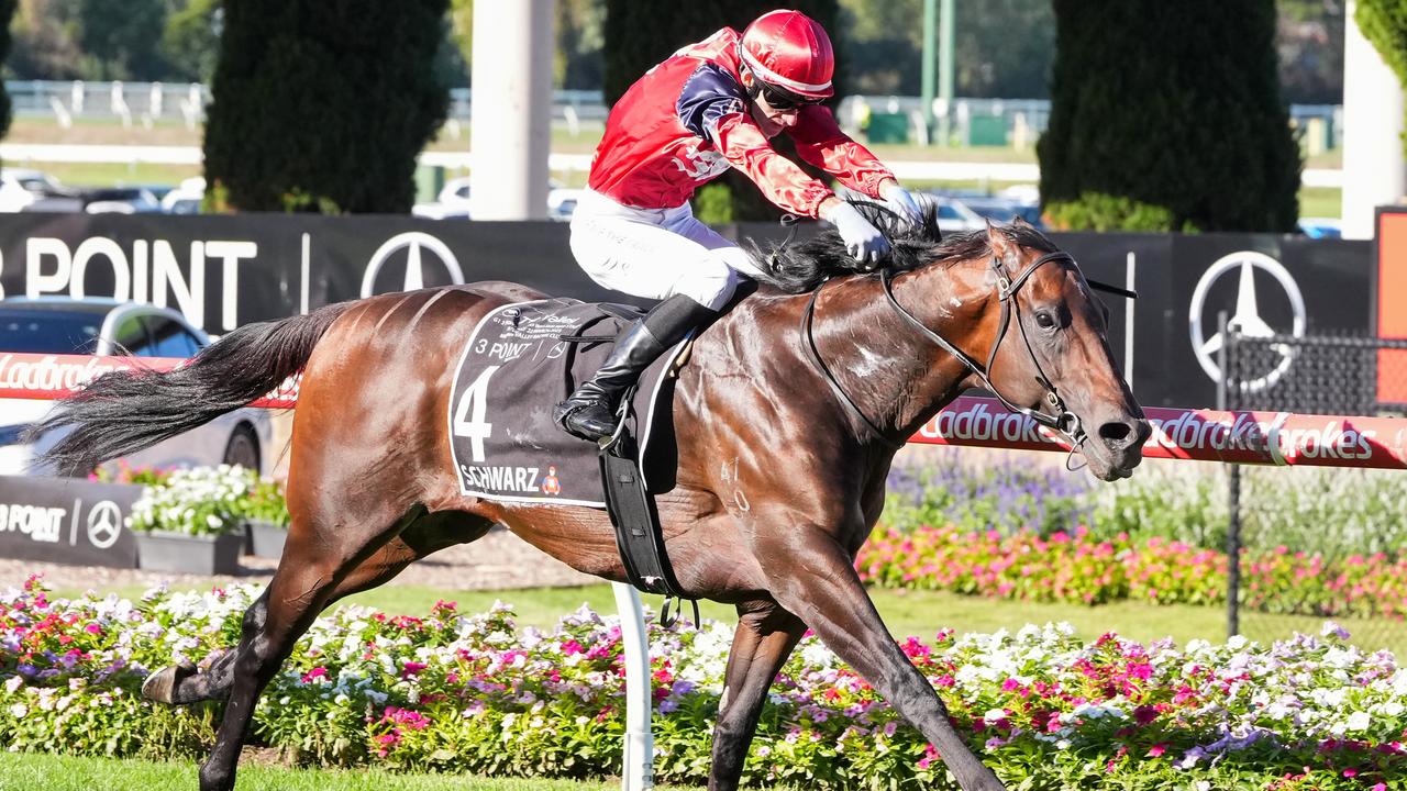 Schwarz will retire to stud after Saturday’s Doomben 10,000 Picture: George Sal
