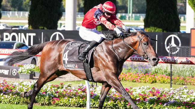Schwarz will retire to stud after Saturday’s Doomben 10,000 Picture: George Sal