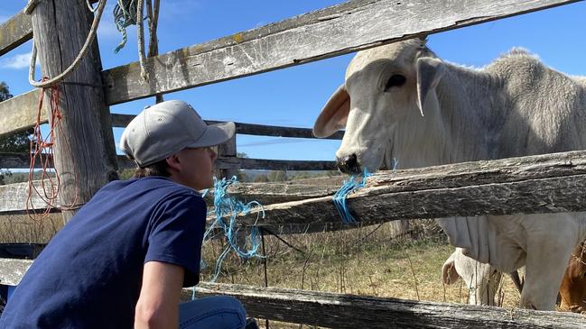 Jockey Jake Bayliss has a cattle property and a Group 1 dream on Saturday at Eagle Farm where he will ride against brother Regan. Picture: Supplied