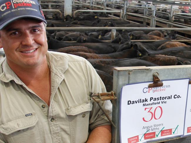 Rodda Manning, Davilak Pastoral Co at Mansfield, with their line of carbon assessed Angus steers which averaged $2530 or 711c/kg at Wangaratta.