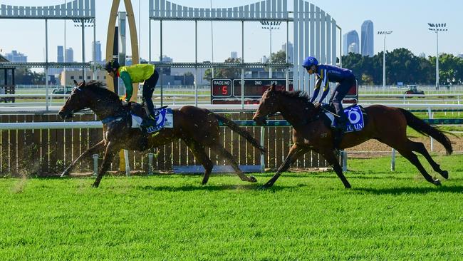 The first set of official Gold Coast course proper barrier trials on Wednesday morning received a tick from jockeys ahead of the imminent return to racing there. Picture: Grant Peters/ Trackside Photography