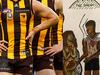 AFL responds to Hawk partner’s investigation fears