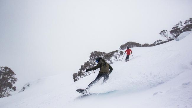 Enjoy the natural powder while you can.