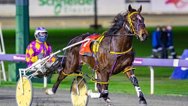 Eureka favourite Never Ending heads to Menangle on Saturday night.