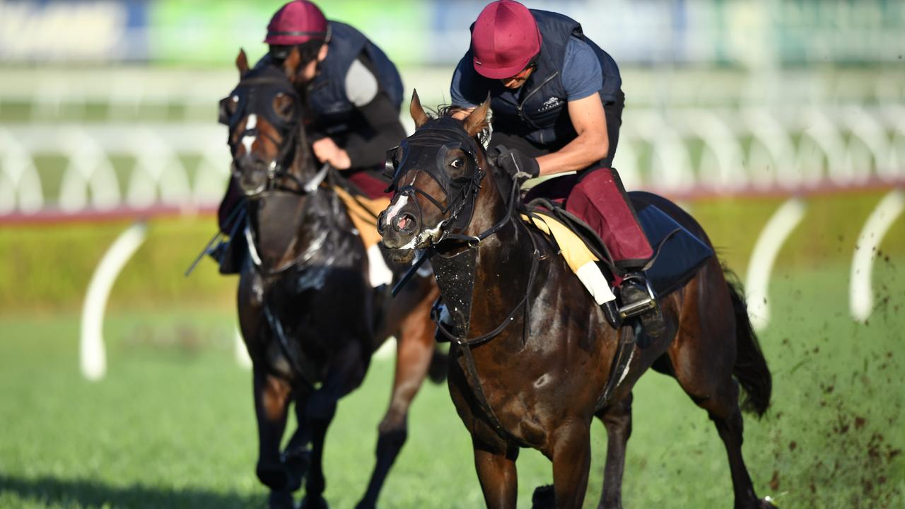 All betting on the race has been suspended. Picture: AAP Image/Joel Carrett